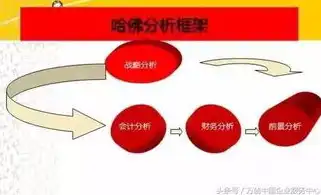 成本优化方案，企业成本优化策略，深度剖析与实施路径