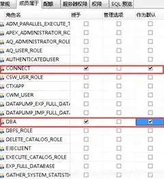 数据备份的形式有哪些种类，数据备份的多重形态，探索数据安全的多样化选择