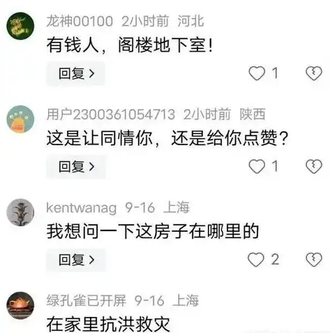 灾难恢复等级，灾后重生，揭秘不同灾难恢复等级的应对策略与挑战