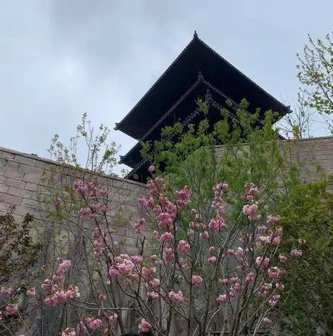 压力测试报告模板，深度解析压力测试报告，关键指标与解读策略