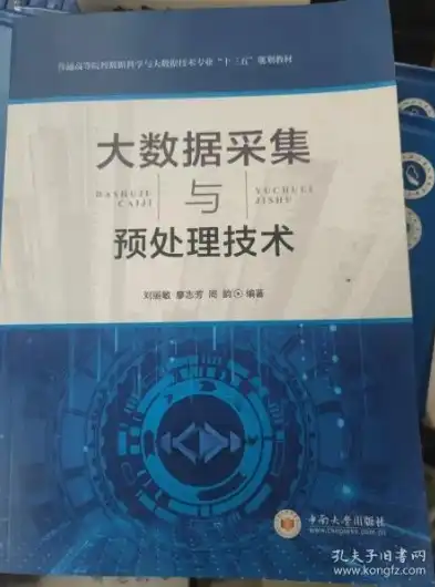 大数据采集与预处理技术刘丽敏课后答案，深入解析大数据采集与预处理技术，刘丽敏课后答案解析与拓展