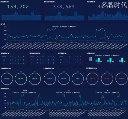 数据可视化示例怎么做，数据可视化在现代数据分析中的魅力与应用