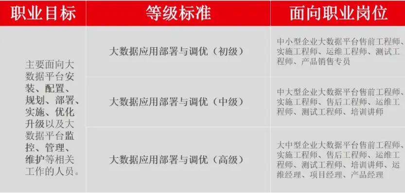 大数据工程化处理与应用职业技能等级证书考试，大数据工程化处理与应用职业技能等级证书考试攻略，深入解析考试要点与备考策略