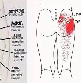 自动收缩卷盘内部原理图，自动收缩卷盘内部工作原理及优势解析