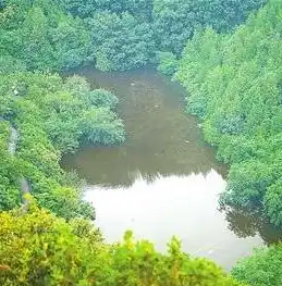 资源综合利用目录，绿色循环，共享未来，资源综合利用的探索与实践