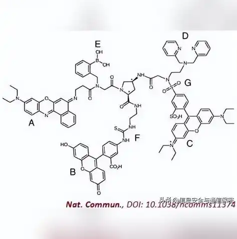 信息安全 网络安全 数据安全的区别，解码数据安全、信息安全与网络安全，三者的本质区别及相互关系