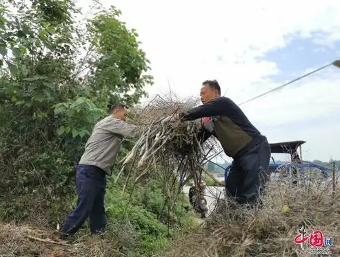 农业废弃物资源化利用是什么领域，农业废弃物资源化利用，绿色转型的新引擎