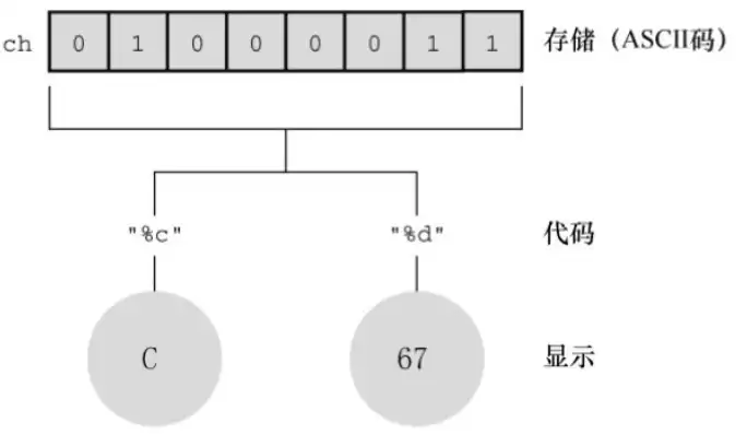 在c语言中char型数据在内存中的存储形式是什么，深入解析C语言中char型数据的内存存储形式