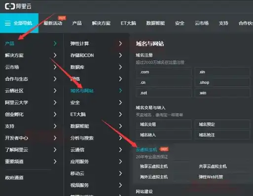 阿里云云虚拟主机怎么用，阿里云云虚拟主机深度解析，轻松入门，高效管理您的网站