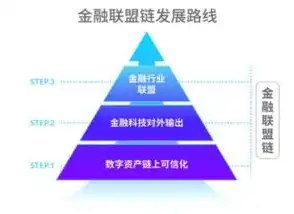 金融大数据解决方案联合建模流程不包括，金融大数据解决方案，揭秘联合建模流程，构建精准金融风控体系