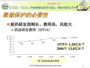 美国数据保护条例颁布时间，美国数据保护条例，从颁布至今的演变与挑战