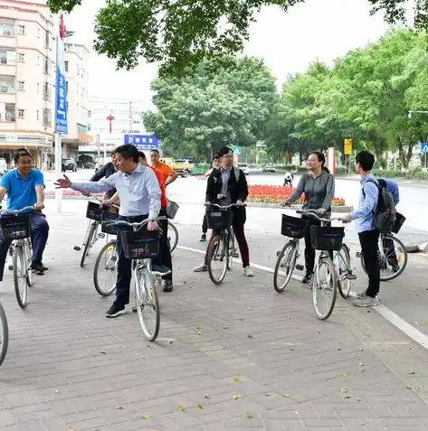 电动自行车维修视频免费，电动自行车维修入门，免费视频教程，轻松掌握维修技巧！