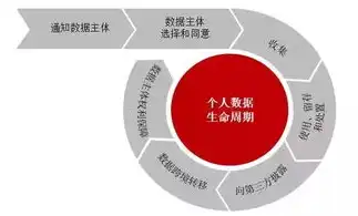 在大数据隐私保护生命周期模型中,大数据使用的风险是，大数据隐私保护生命周期模型下的大数据使用风险解析