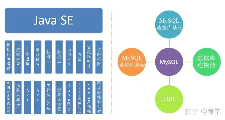 数据库开发一般用什么语言开发，数据库开发领域主流编程语言解析及实际应用探讨