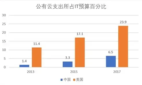 行业云属于公有云还是私有云，行业云的细分领域，公有云与私有云的差异化应用与发展前景