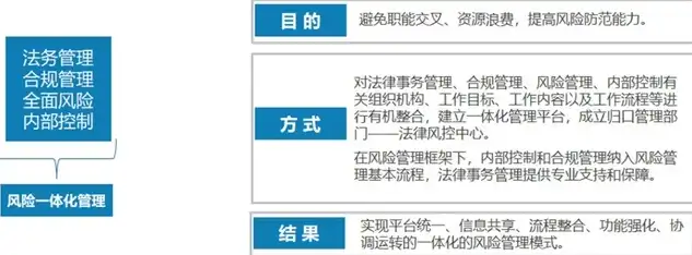 合规性审查，企业合规管理体系构建与实践，案例分析及启示