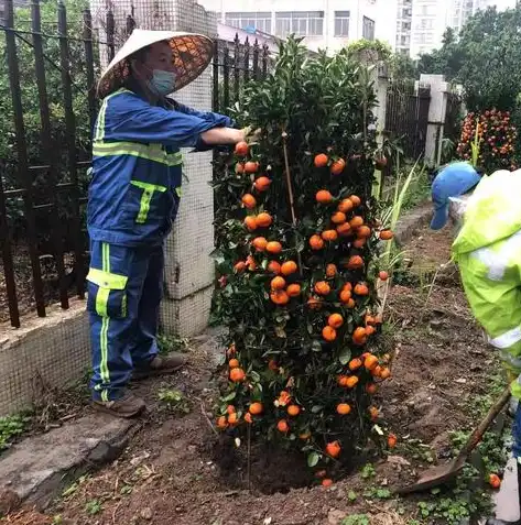 资源化处理技术有哪些，创新引领未来，深度解析资源化处理技术及其应用