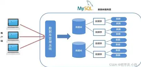 数据库管理系统的数据模型有哪些特点，深入解析数据库管理系统的数据模型，分类、特点与优势