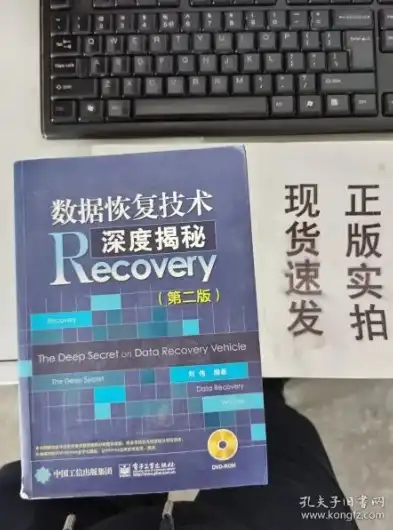 数据恢复技术深度揭秘第二版 下载，数据恢复技术深度揭秘第二版，揭秘数据恢复的神秘面纱