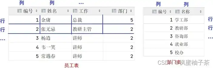 在关系型数据库中,二维表被称为，关系数据库中的二维表，揭秘数据存储的基石