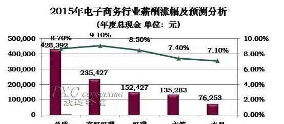 电子商务是干什么的就业前景怎么样，电子商务行业深度解析，职业内涵与光明就业前景展望