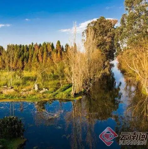 云南农村生活污水处理设备，云南省农村生活污水处理设施水污染物排放标准解析与实施策略