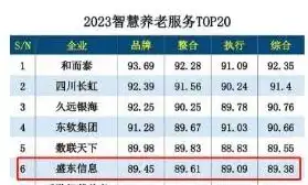 养老行业十大排名最新，2023年度养老行业十大品牌排名，匠心独运，养老服务品质引领新篇章