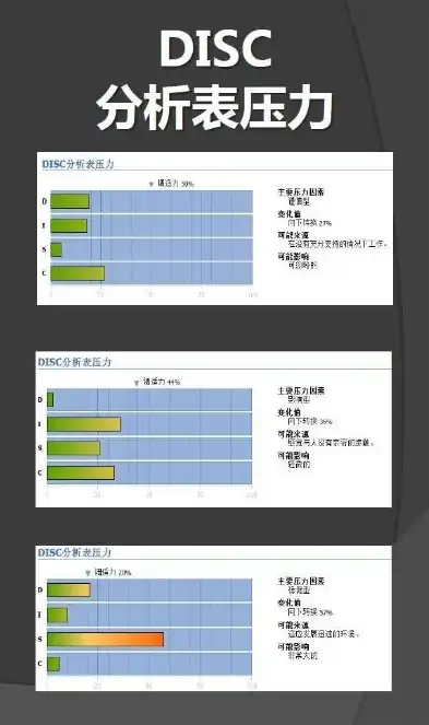 压力测试结果分析，深入解析压力测试报告，关键指标分析与解读