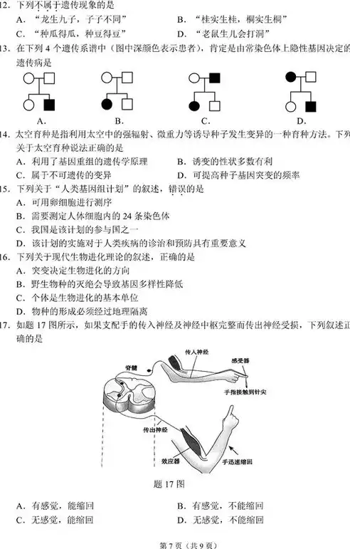 合格性考试试卷，合格性考试样卷解析，探究考试结构与应试策略