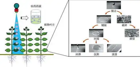 长短伸缩可调节调节环，创新科技之魂——自动调节长短伸缩结构的神奇调节环