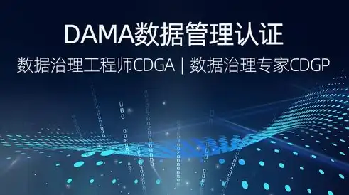 数据治理工程师DAMA含金量，揭秘数据治理工程师DAMA，行业含金量与职业发展前景