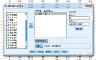 数据标准化处理方法spss，SPSS数据标准化处理方法解析与应用