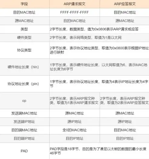 软件定义网络使用协议有哪些，软件定义网络，解析主流协议及其应用场景