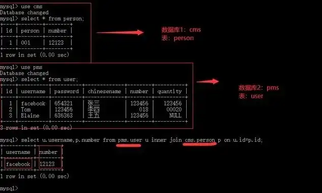 mysql数据库备份导出，深入解析MySQL数据库备份与导入，确保数据安全与高效迁移之道