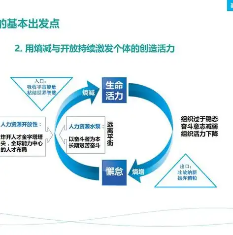 华为数据管理部成立时多少人，华为公司数据管理总纲，构建高效数据生态，引领行业创新之路——记数据管理部成立之初的探索与成长