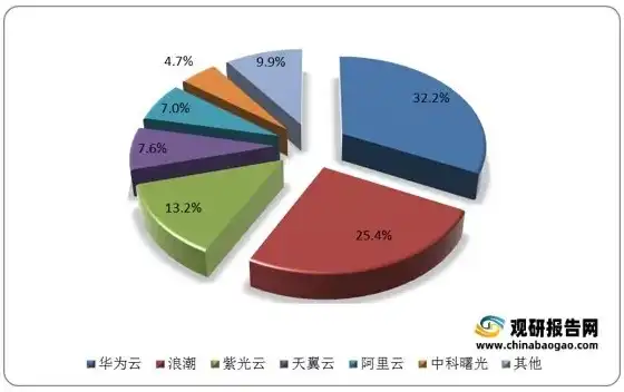 私有云市场份额 2019，2019年私有云市场份额风云录，领军企业崭露头角，市场竞争格局渐趋明朗