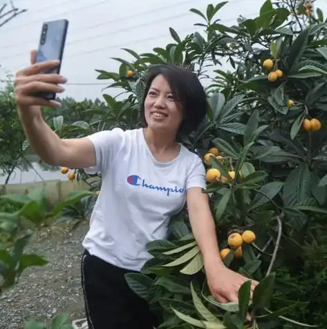 北京数据恢复公司排名，揭秘北京数据恢复公司排名，哪家企业更值得信赖？