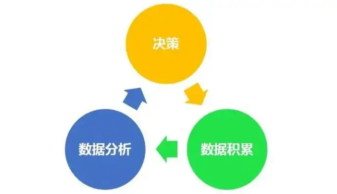 数据挖掘的分析软件是什么样的，深度解析数据挖掘领域的顶尖分析软件，功能、优势与实际应用