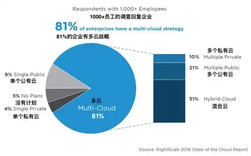 混合云的应用有哪些特点和特点，混合云应用特点解析，灵活性与安全性的完美融合