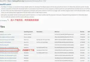 开发网站用什么语言，揭秘网站开发语言，探索Python在网站开发领域的优势与应用