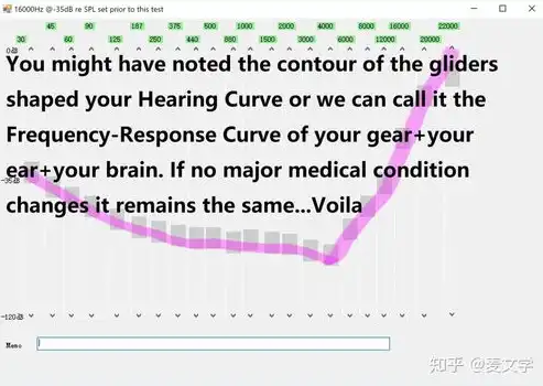 检测软件的吞吐率是什么，深入解析软件吞吐率检测，技术要点与实践案例