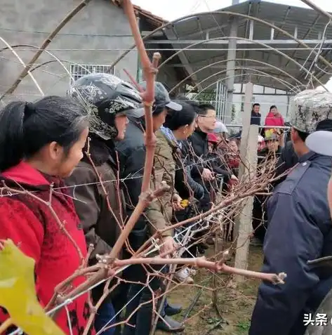 如东网站建设网页设计网-网站定制-网页设计-网站建设，如东网站建设，打造专业定制化网页，助力企业品牌腾飞