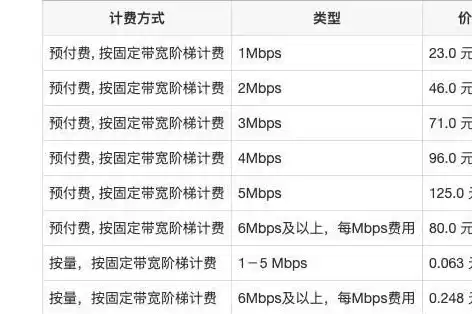 服务器带宽费用，服务器宽带费用解析，成本与性价比全面考量