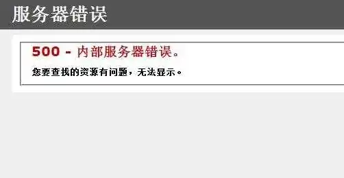 网站内部服务器错误是什么意思，网站内部服务器错误，揭秘问题根源及解决之道