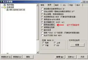 服务器ftp连接不上去，深入解析FTP连接不上问题，原因分析及解决方案