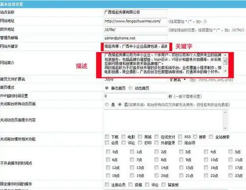 收录层面的seo工作，SEO快速收录秘籍，全方位优化策略详解