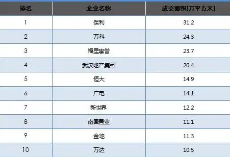 武汉网站开发公司排名，武汉网站开发公司排名揭晓，探秘本地优质服务商，助力企业互联网升级