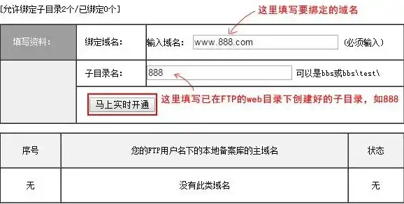 ftp服务器填写域名怎么填，FTP服务器域名填写指南，掌握正确方法，轻松实现高效传输