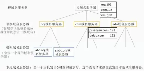 服务器域名是什么意思呢怎么看，深入解析，服务器域名究竟是什么？带你揭开神秘面纱