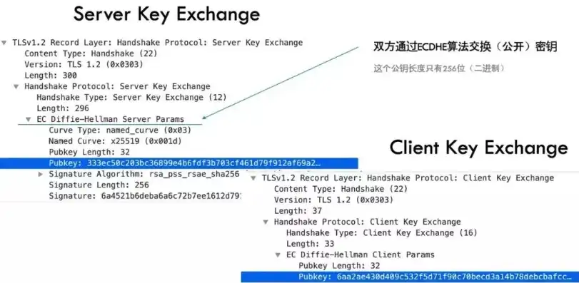 cname域名解析https，深入解析CNAME域名解析在HTTPS中的应用与优势